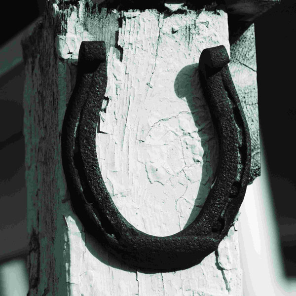 Williston Grayscale Horseshoe Photography Wrapped Canvas